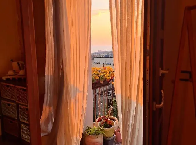 Aljama - Downtown 4*